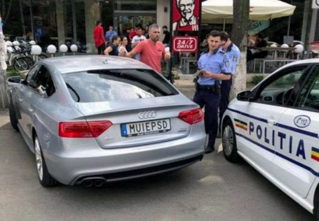 sofer suedia muie psd